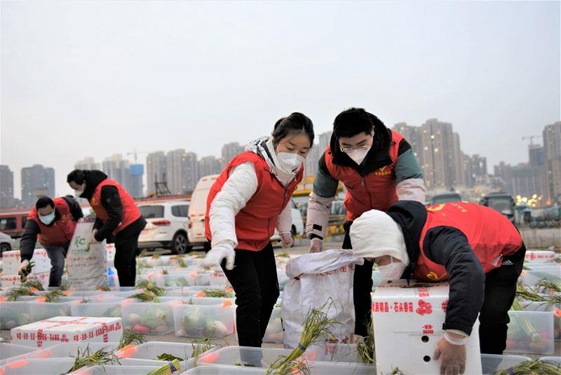 中铁一局电务公司志愿者分拣蔬菜 赵宇飞摄